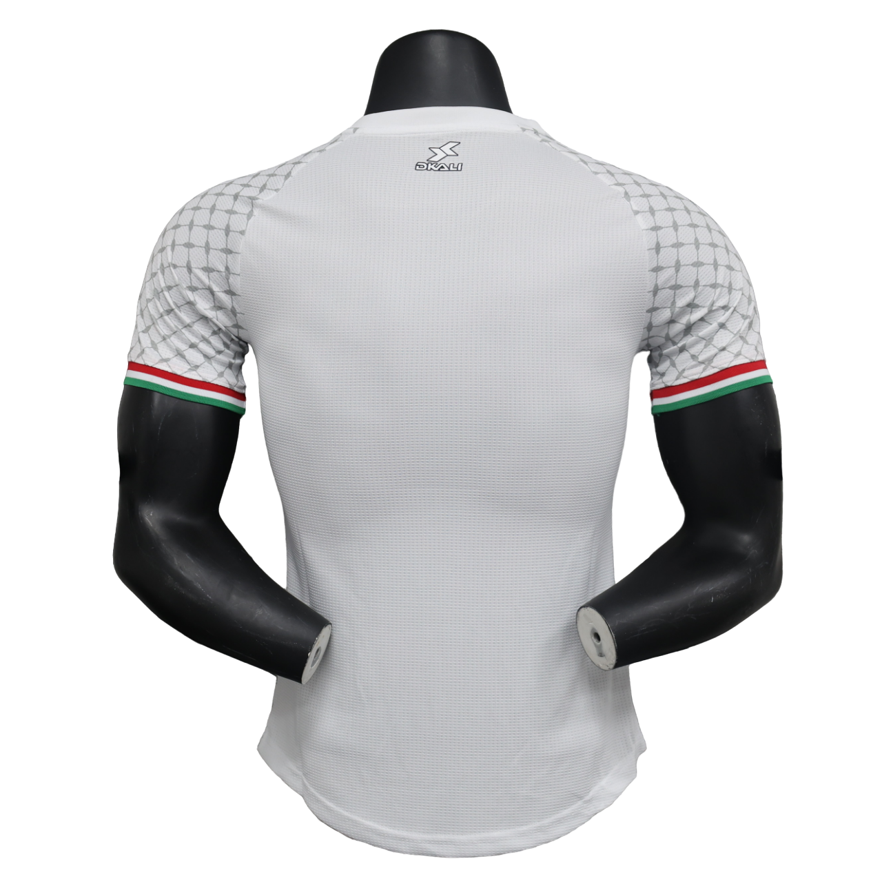 Palestine Special Jersey